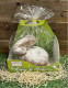 Sitzende Lebkuchen Hase